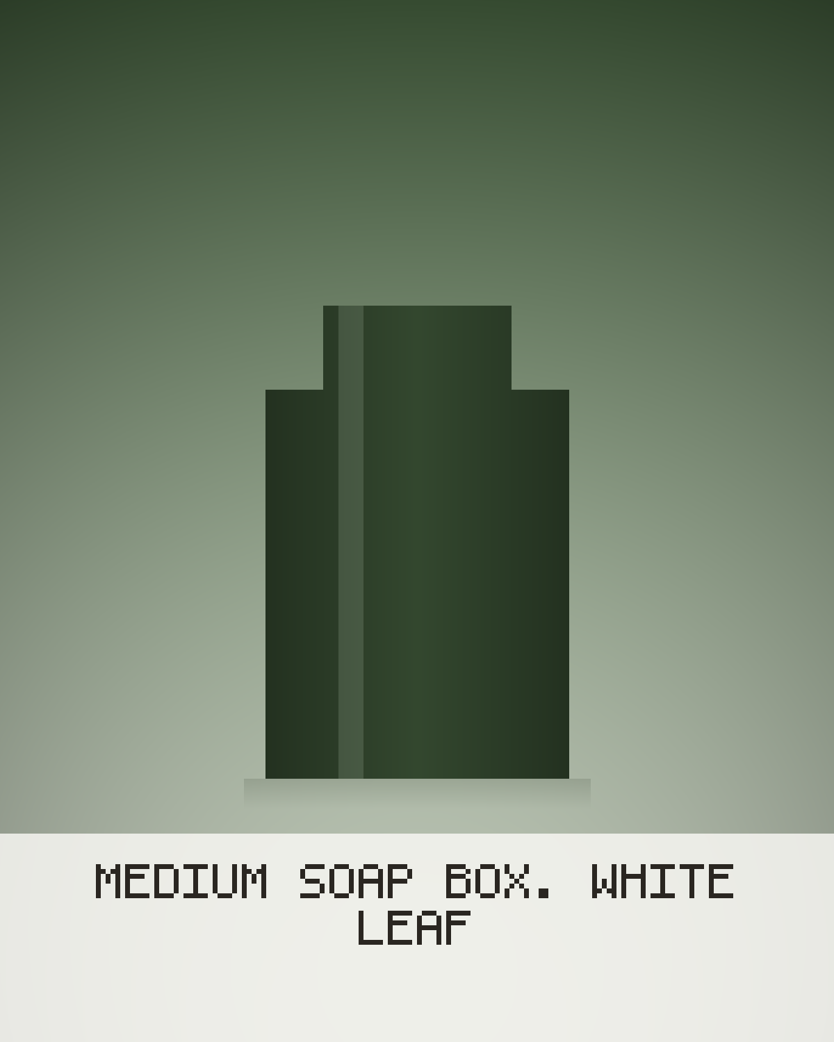 Medium Soap Box: White Leaf